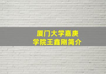 厦门大学嘉庚学院王鑫刚简介