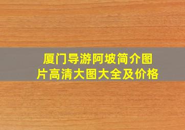 厦门导游阿坡简介图片高清大图大全及价格