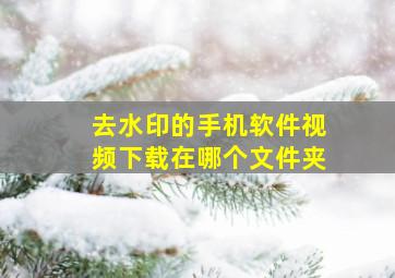 去水印的手机软件视频下载在哪个文件夹