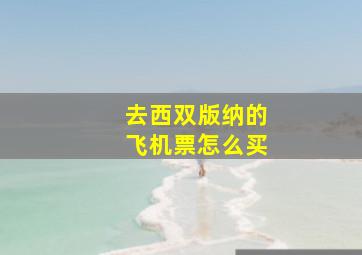 去西双版纳的飞机票怎么买