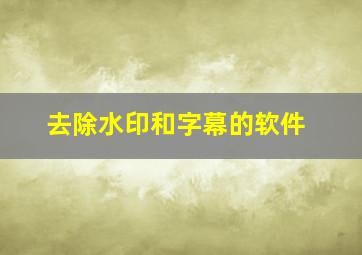 去除水印和字幕的软件