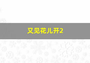 又见花儿开2