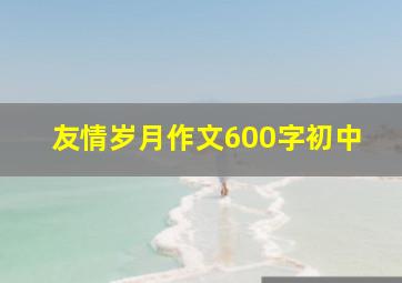 友情岁月作文600字初中