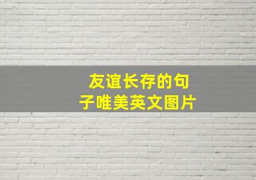 友谊长存的句子唯美英文图片