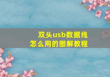 双头usb数据线怎么用的图解教程