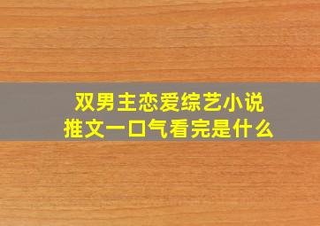 双男主恋爱综艺小说推文一口气看完是什么