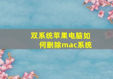 双系统苹果电脑如何删除mac系统