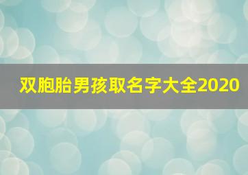 双胞胎男孩取名字大全2020