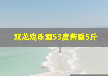 双龙戏珠酒53度酱香5斤