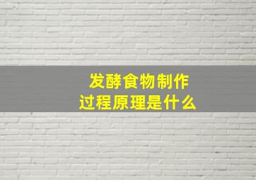 发酵食物制作过程原理是什么