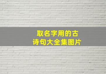 取名字用的古诗句大全集图片