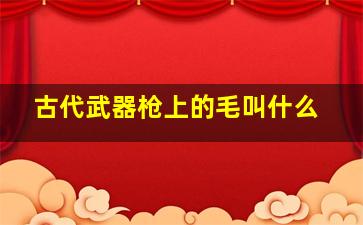 古代武器枪上的毛叫什么