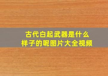 古代白起武器是什么样子的呢图片大全视频