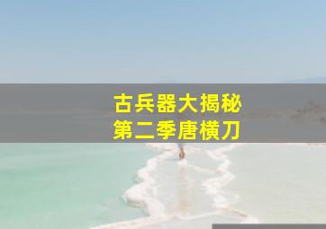 古兵器大揭秘第二季唐横刀