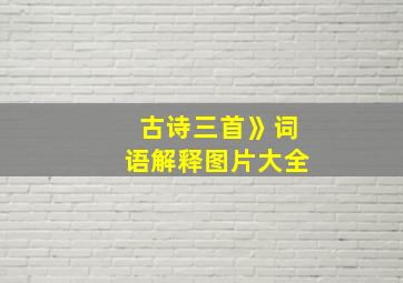 古诗三首》词语解释图片大全