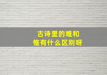 古诗里的唯和惟有什么区别呀