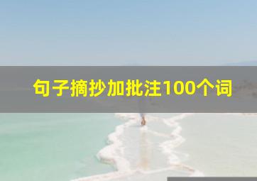 句子摘抄加批注100个词