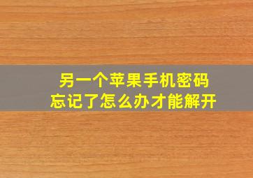 另一个苹果手机密码忘记了怎么办才能解开