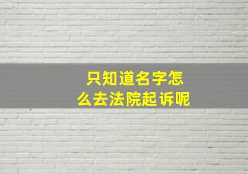 只知道名字怎么去法院起诉呢