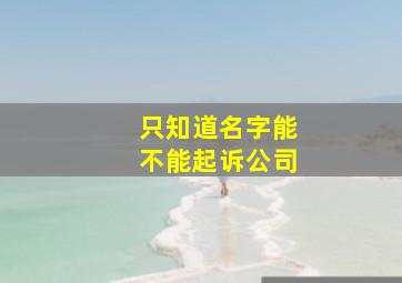 只知道名字能不能起诉公司