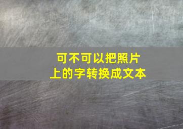 可不可以把照片上的字转换成文本