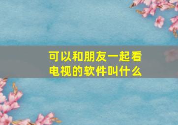 可以和朋友一起看电视的软件叫什么