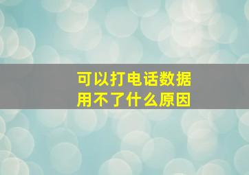 可以打电话数据用不了什么原因