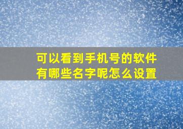 可以看到手机号的软件有哪些名字呢怎么设置