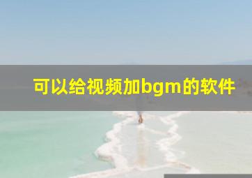 可以给视频加bgm的软件