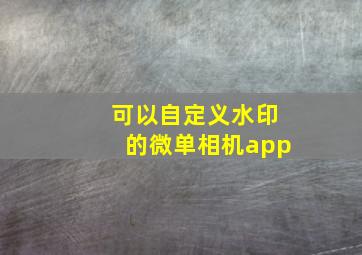 可以自定义水印的微单相机app