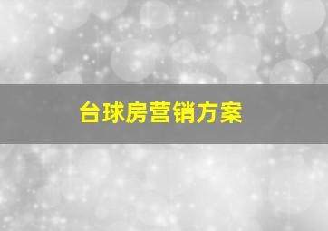 台球房营销方案