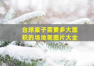 台球案子需要多大面积的场地呢图片大全