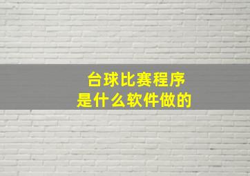 台球比赛程序是什么软件做的