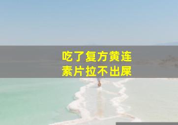 吃了复方黄连素片拉不出屎