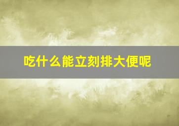 吃什么能立刻排大便呢