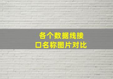 各个数据线接口名称图片对比