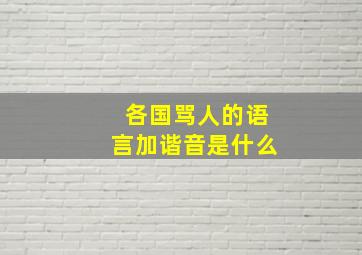 各国骂人的语言加谐音是什么