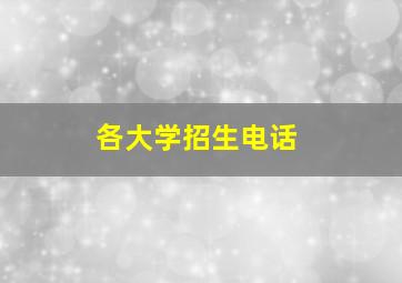 各大学招生电话