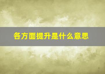 各方面提升是什么意思