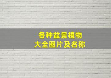 各种盆景植物大全图片及名称