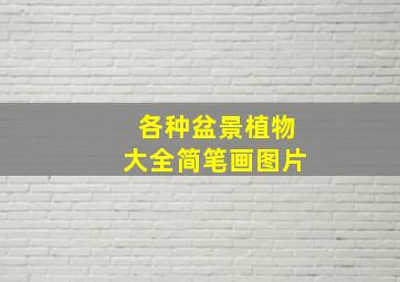 各种盆景植物大全简笔画图片