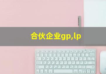 合伙企业gp,lp