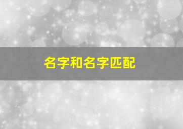 名字和名字匹配