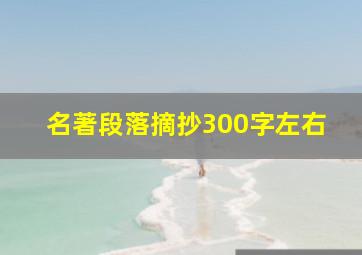 名著段落摘抄300字左右