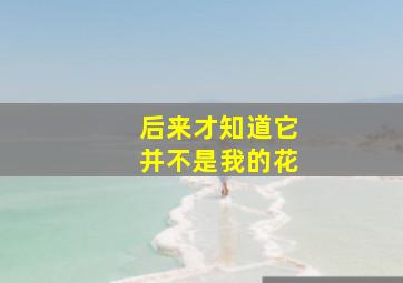 后来才知道它并不是我的花