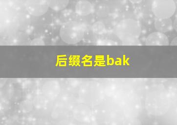 后缀名是bak