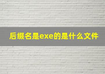 后缀名是exe的是什么文件