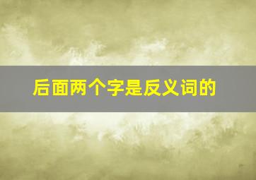 后面两个字是反义词的