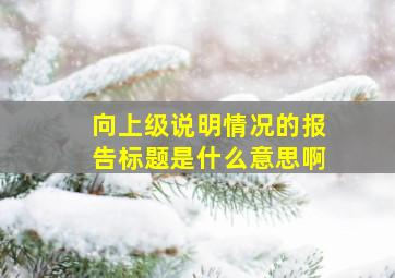 向上级说明情况的报告标题是什么意思啊