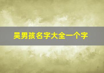 吴男孩名字大全一个字